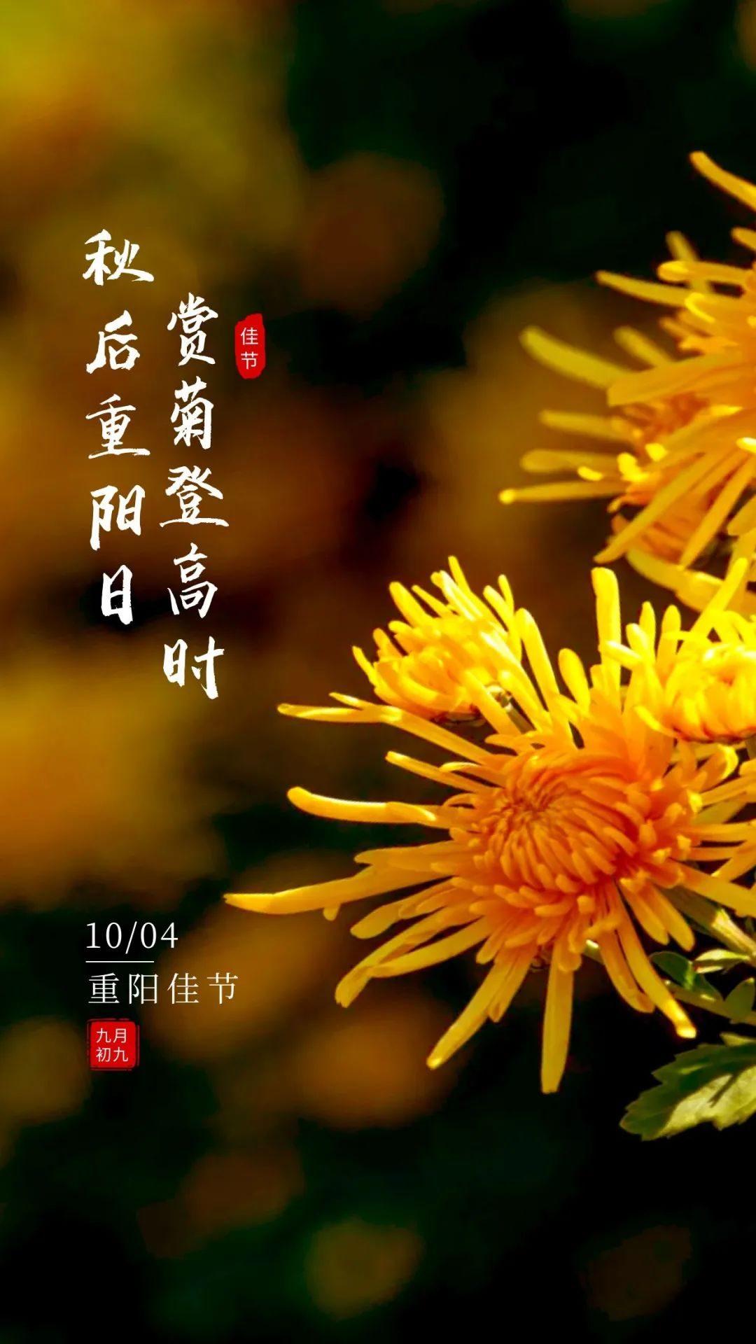 有关重阳节温馨祝福语（朋友圈重阳节文案句子）