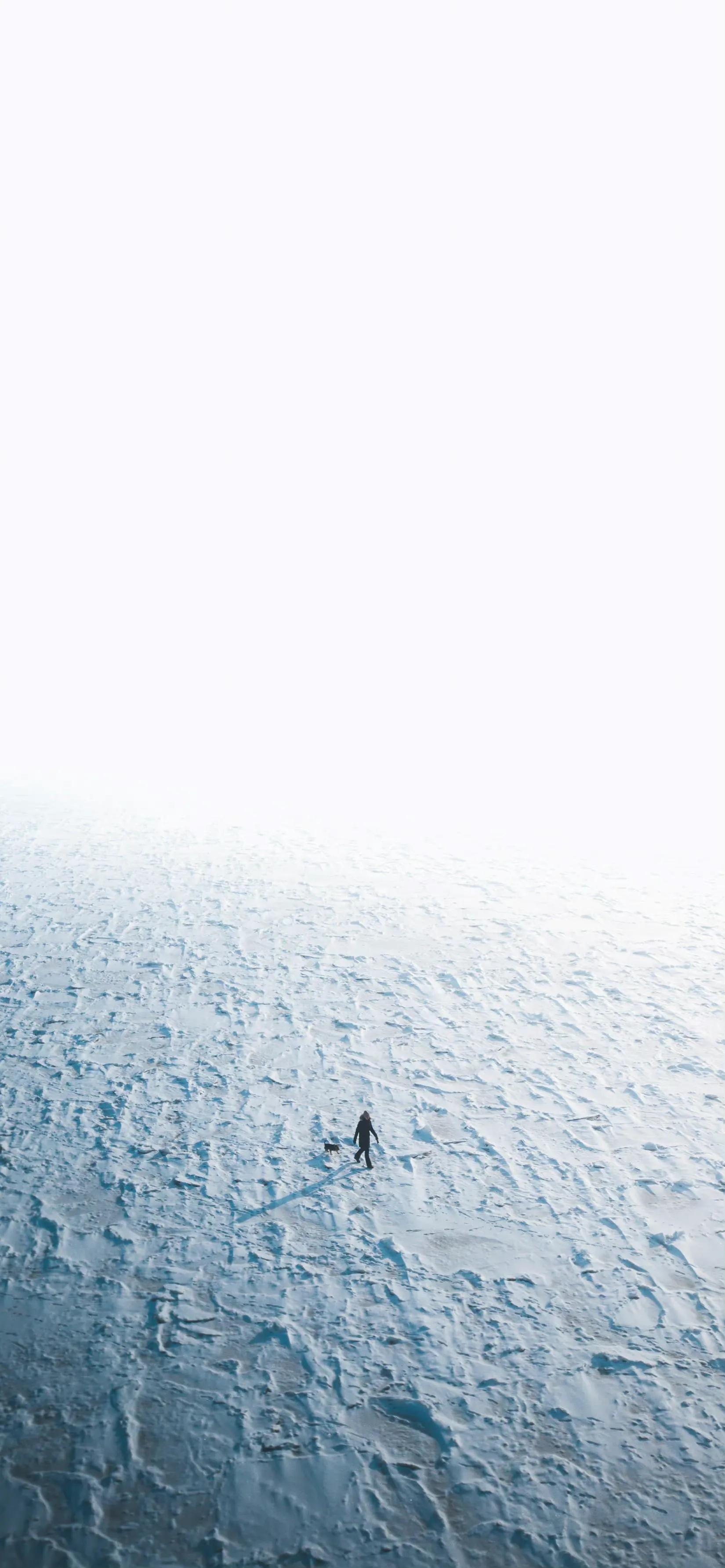 有关咏雪诗词大全鉴赏（咏雪的经典古诗词）