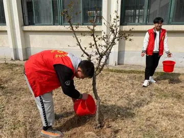 2022大学生植树节实施方案模板（大学生植树节工作方案范本）