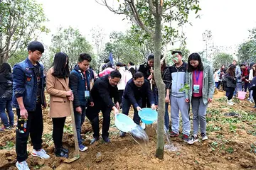 2022大学生植树节实施方案模板（大学生植树节工作方案范本）