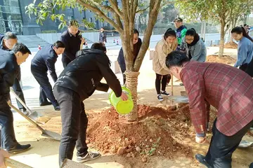 2022大学生植树节实施方案模板（大学生植树节工作方案范本）