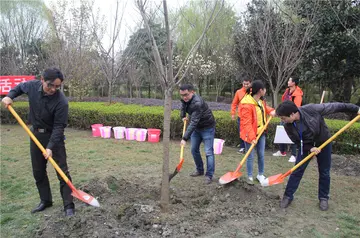 2022植树节活动方案模板（植树节策划方案范本）