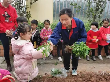 2022植树节活动教案范文（植树节教育教案范例）