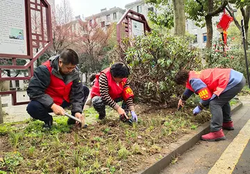 2022社区植树节活动方案模板（社区植树节策划方案范本）