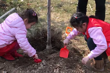 2022小班植树节活动方案模板（小班植树节策划方案范本）