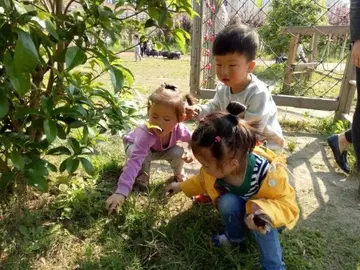 2022小班植树节活动方案模板（小班植树节策划方案范本）