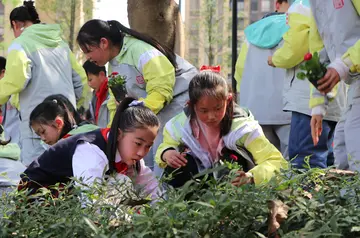 2022小学生植树节活动方案模板（小学生植树节策划方案范本）