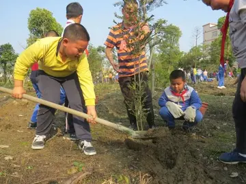 2022小学生植树节活动方案模板（小学生植树节策划方案范本）