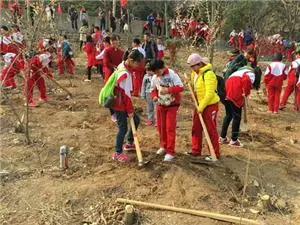 2022小学生植树节活动方案模板（小学生植树节策划方案范本）