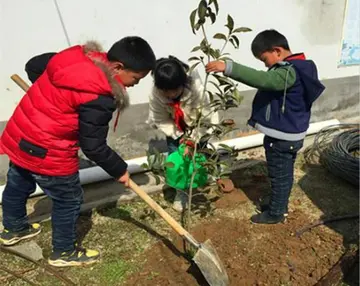 2022小学生植树节活动方案模板（小学生植树节策划方案范本）