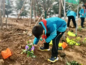 2022小学植树节实施方案模板（小学植树节工作方案范本）