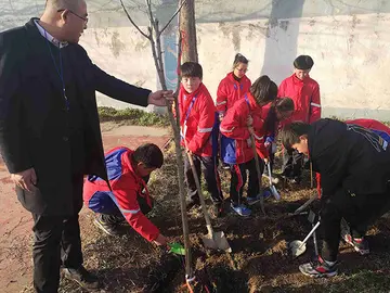 2022小学植树节实施方案模板（小学植树节工作方案范本）