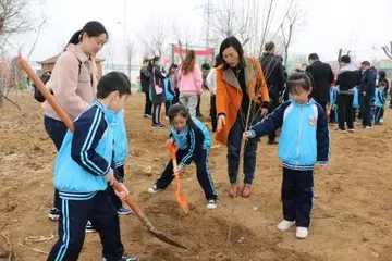 2022小学植树节实施方案模板（小学植树节工作方案范本）