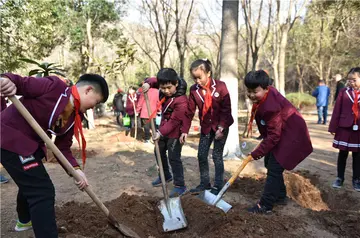 2022小学植树节实施方案模板（小学植树节工作方案范本）