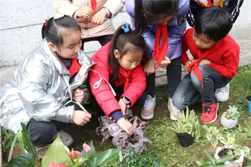 2022小学植树节实施方案模板（小学植树节工作方案范本）