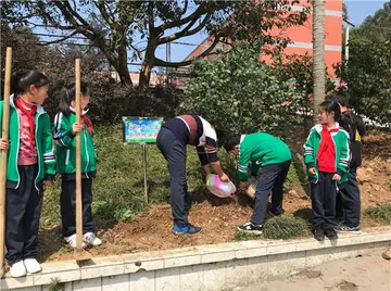 2022小学植树节实施方案模板（小学植树节工作方案范本）