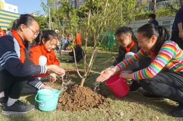 2022小学生植树节活动总结范文（小学生植树节策划总结范例）