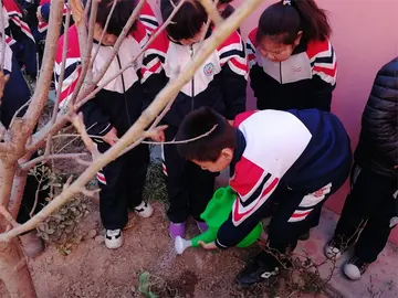 2022小学生植树节活动总结范文（小学生植树节策划总结范例）