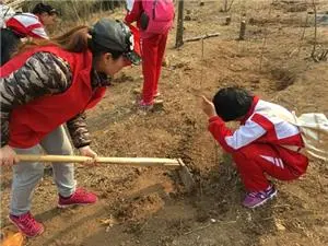 2022小学生植树节活动总结范文（小学生植树节策划总结范例）