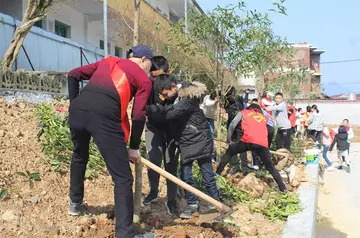 2022小学生植树节活动总结范文（小学生植树节策划总结范例）