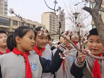 2022小学生植树节活动总结范文（小学生植树节策划总结范例）