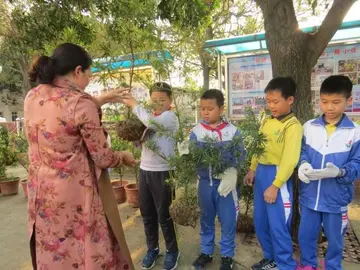 2022小学生植树节活动总结范文（小学生植树节策划总结范例）