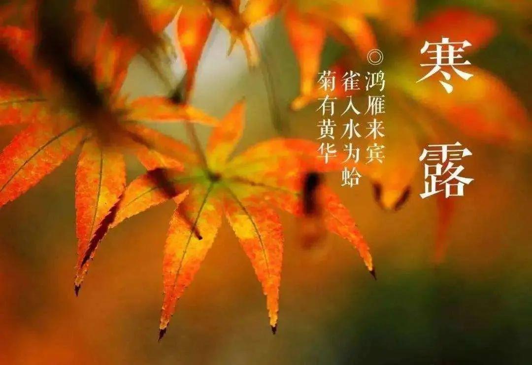 寒露节气暖心祝福文案（关于寒露名言名句）