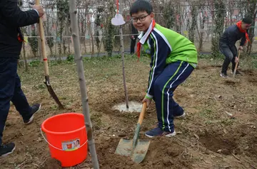 2022小学生植树节实施总结范文（小学生植树节工作总结范例）