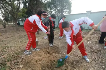 2022学校植树节活动总结范文（校园植树节策划总结范例）