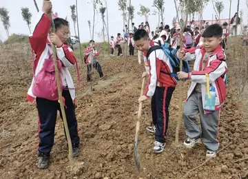 2022学校植树节活动总结范文（校园植树节策划总结范例）