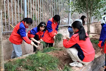 2022院校植树节实施总结范文（学生植树节工作总结范例）