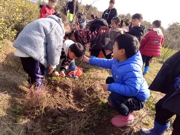 2022幼儿园植树节实施方案及感悟（幼儿园植树节工作方案及心得）