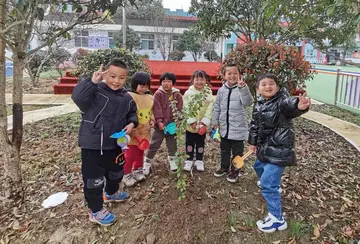 2022幼儿园植树节实施方案及感悟（幼儿园植树节工作方案及心得）