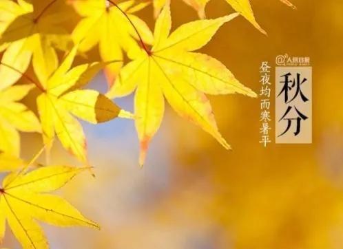 秋分节气祝福语精选文案（秋分你好问候句子）