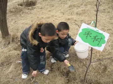 2022中班植树节活动方案及感悟（中班植树节策划方案及心得）