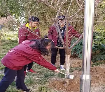 2022中学植树节活动方案模板（中学植树节策划方案范本）