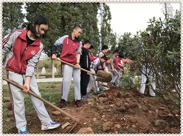 2022中学植树节活动方案模板（中学植树节策划方案范本）