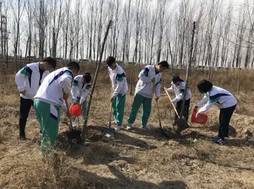 2022中学植树节活动方案模板（中学植树节策划方案范本）