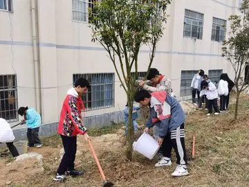 2022中学植树节活动方案模板（中学植树节策划方案范本）