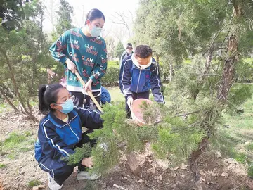 2022植树节主题班会教育活动方案模板（植树节教育主题班会策划方案范本）