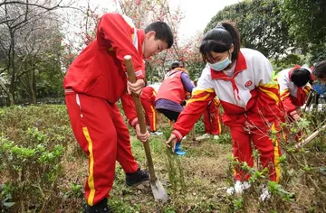 2022植树节教育班会实施方案模板（植树节班会教育工作方案范本）