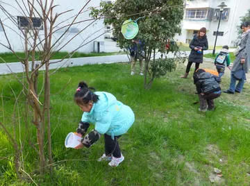 2022植树节实施总结范文（植树节工作总结范例）