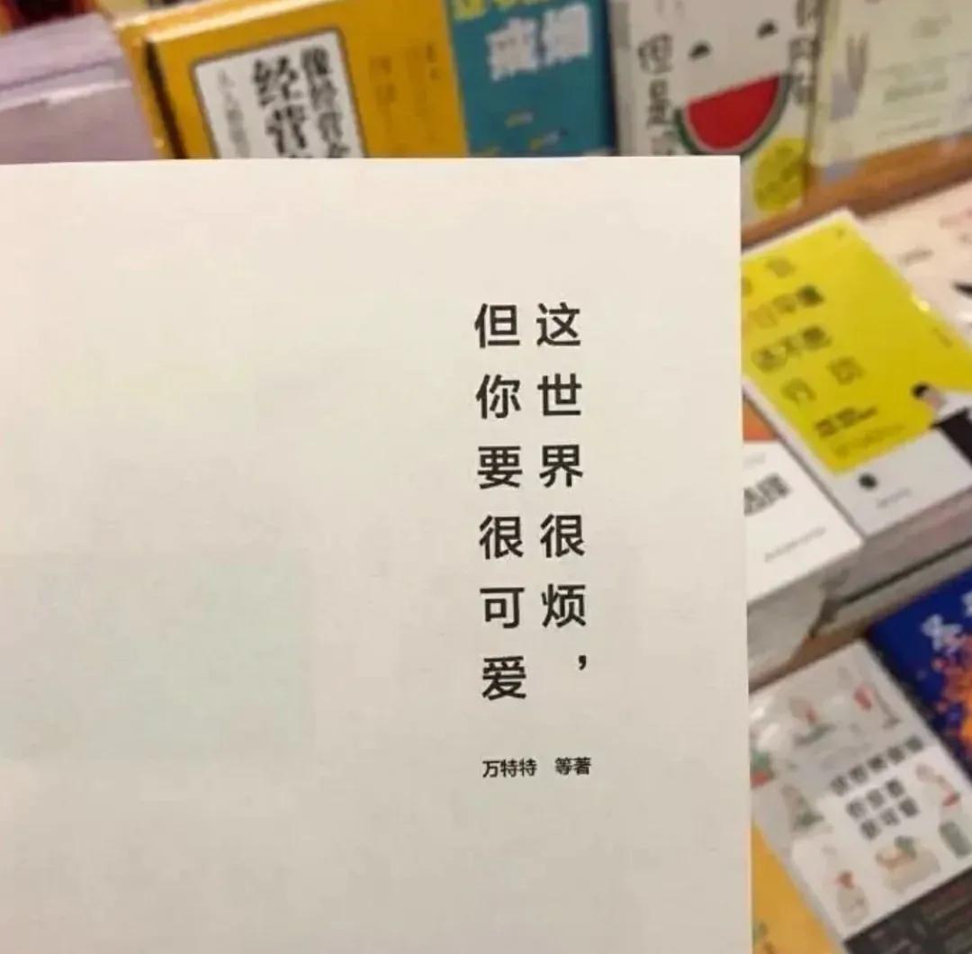 特别温柔的生活文案（温柔至极的生活句子）