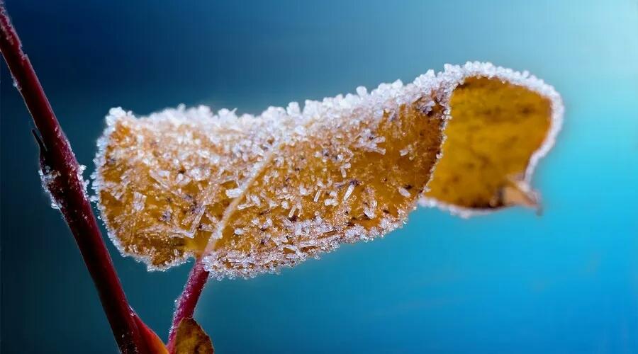 描写秋天景色优美句子（关于雪的诗句千古名句）