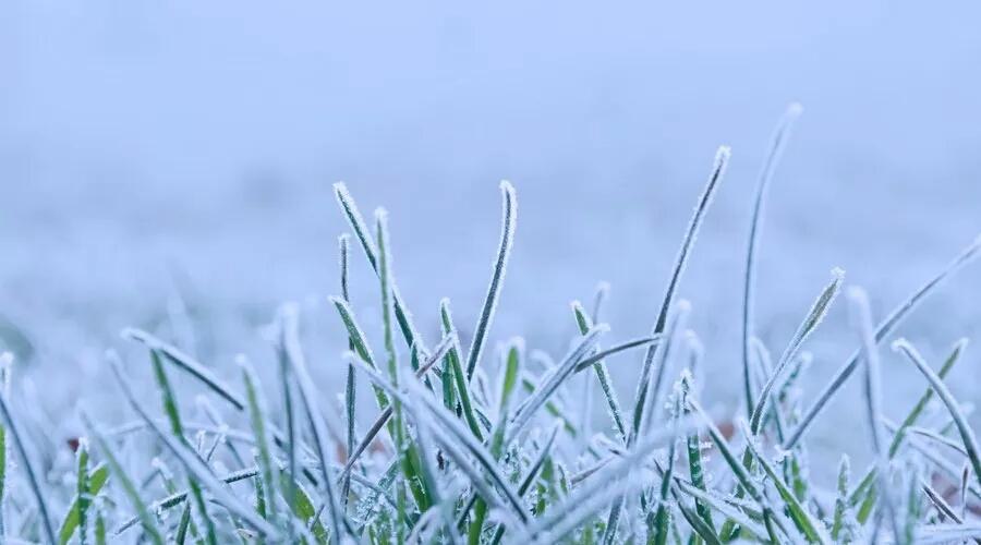 描写秋天景色优美句子（关于雪的诗句千古名句）