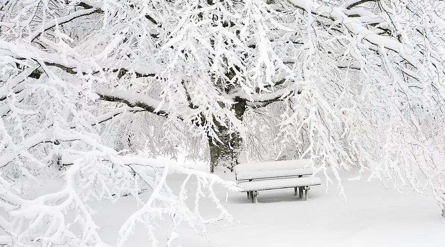 描写秋天景色优美句子（关于雪的诗句千古名句）