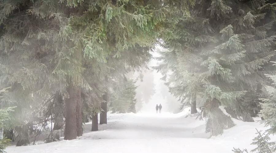 描写秋天景色优美句子（关于雪的诗句千古名句）