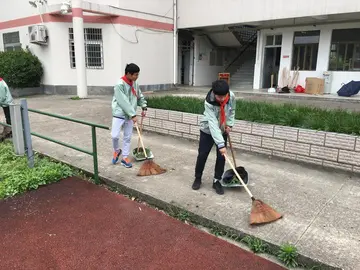 2022院校环境整治实施方案模板（学校环境整治工作方案范本）