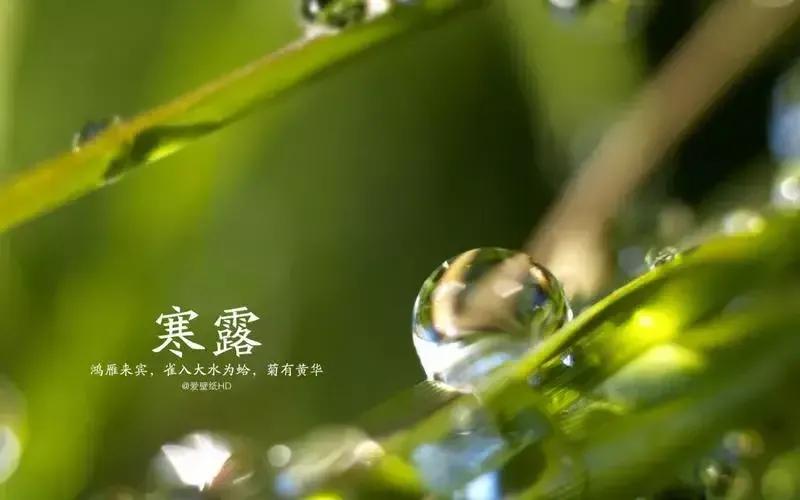 寒露节气祝福文案（唯美问候语句子）