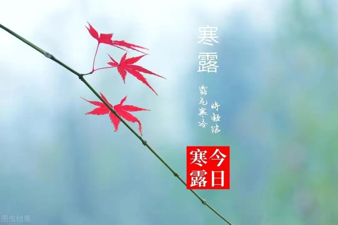 寒露节气祝福文案（唯美问候语句子）